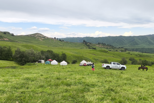 1749224091249251.png 1749028089779.png