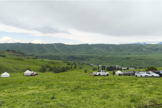 1749224284145406.png 1749027590540.png