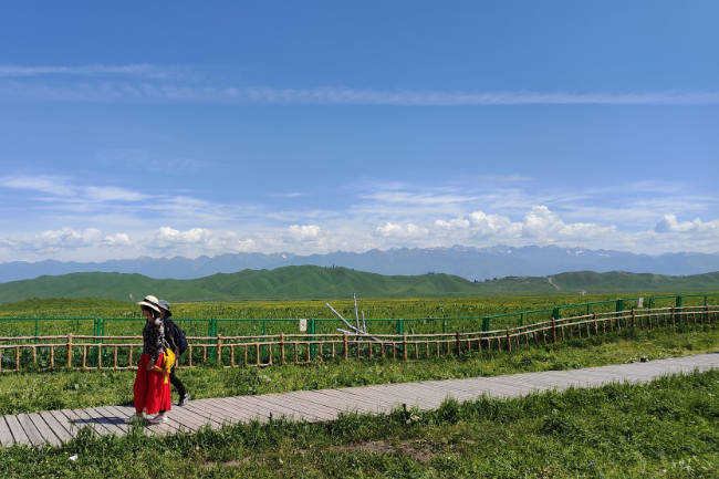 1749306897369044.png 1748507197505.png