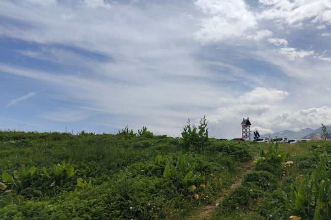 1749309066812353.png 1748499178075.png