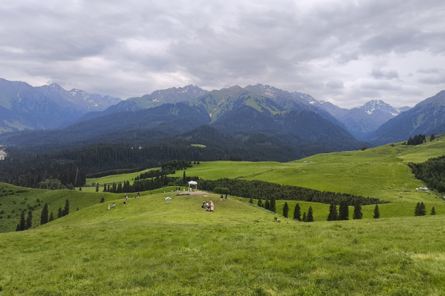 1749397401671927.png 1749031261497.png