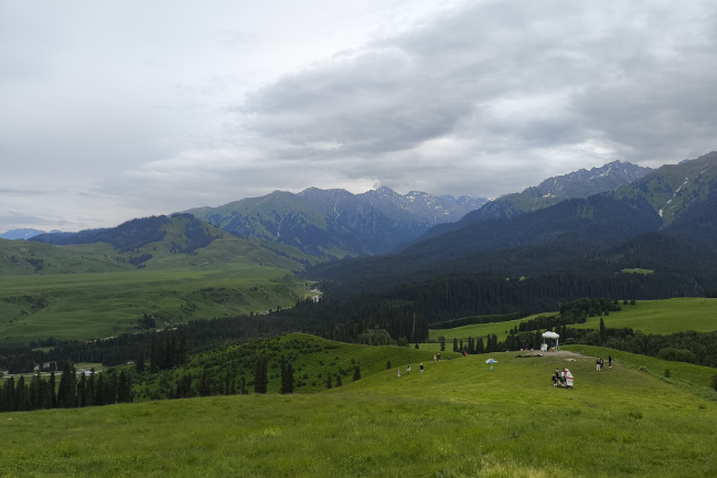 1749397811779729.png 1749031186776.png