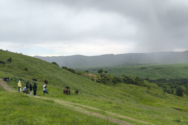 1749747104955636.png 1749019328477.png