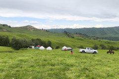 白羊座明日星座运势：2025年6月14日（真人算命最准一条街）