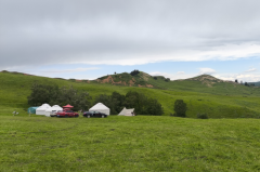 巨蟹座明日星座运势：2025年6月14日（真人算命最准一条街）