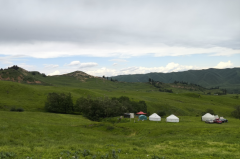 天秤座明日星座运势：2025年6月14日（真人算命最准一条街）