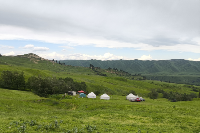 1749825613921802.png 1749027733958.png