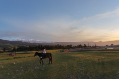 狂月今日星座运势：2025年6月17日（算卦街算命一条街）  