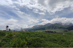 阿妙占星每日星座运势：2025年6月23日（算命一条街蕞准网站)      