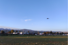 巨蟹座明日星座运势：2025年6月23日（真人算命最准一条街）