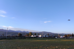 狮子座明日星座运势：2025年6月23日（真人算命最准一条街）