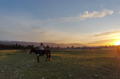 双鱼座明日星座运势：2025年6月23日（真人算命最准一条街）
