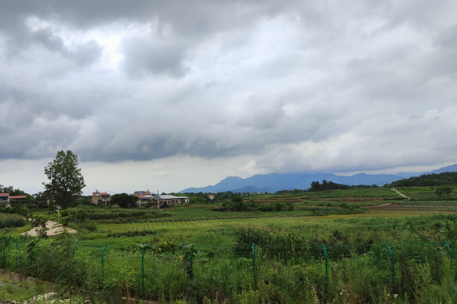 1750643894127045.png 1748430224007.png