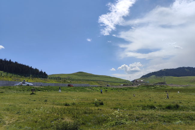 1750822168693695.png 1748441994395.png