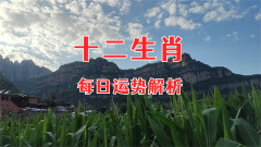 2025年6月27日的吉利属相有哪些？真人在线算命一条街   