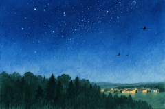 白羊座明日星座运势：2025年7月17日（真人算命蕞准一条街）