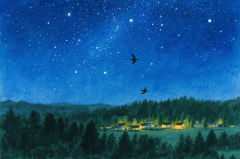 2025年7月20日今日十二星座运势 