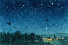 双子座明日星座运势：2025年7月20日（真人算命蕞准一条街）