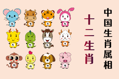 未命名图片 (15).png