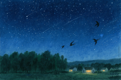 2025年7月27日今日十二星座运势