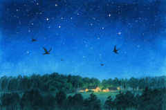 艾菲尔十二星座周末运势（7.26-7.27）真人算命一条街