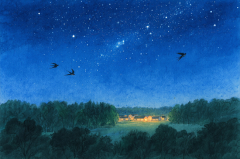 狮子座明日星座运势：2025年7月30日（真人算命蕞准一条街）