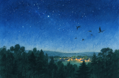 摩羯座明日星座运势：2025年7月30日（真人算命蕞准一条街）