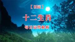 郑博士：8月7日生肖运势、今明吉凶播报(一对一算命一条街)  