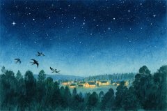 阿妙占星每日星座运势：2025年8月8日（算卦街算命一条街）