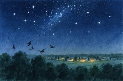 狮子座明日星座运势：2025年8月11日（真人算命蕞准一条街）