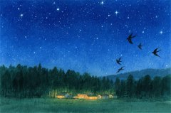 爱莎公主今日星座运势：2025年8月13日（算卦街算命一条街）