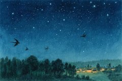 爱莎公主今日星座运势：2025年8月20日（算卦街算命一条街）