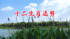 2025年8月25日需要注意的属相有哪些？真人算命蕞准的算命网站