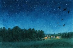 2025年8月25日今日十二星座运势   