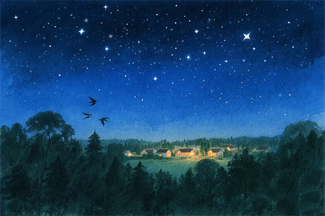 1756045380657510.jpg 微信图片_20250704124946.jpg