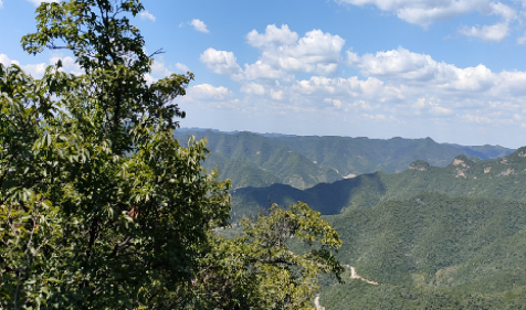 1759424213165687.png weixintupian_202101021116143.png