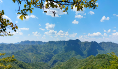 双鱼座明日星座运势：2025年10月3日（真人算命蕞准一条街）