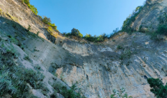 郑博士：10月3日生肖运势、今明吉凶播报(一对一算命一条街)  