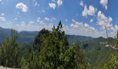 双鱼座明日星座运势：2025年10月4日（真人算命蕞准一条街）