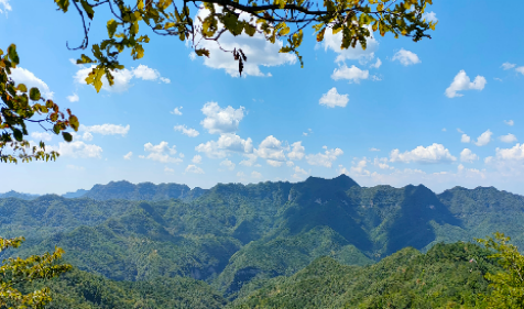 1759678043145805.png weixintupian_202101021116142.png