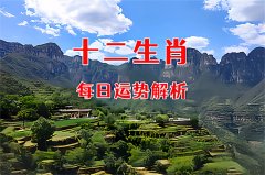 郑博士：10月8日生肖运势、今明吉凶播报(一对一算命一条街)  