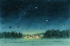 2025年10月11日今日十二星座运势