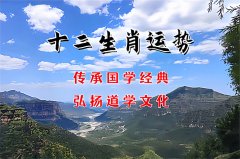 郑博士：10月14日生肖运势、今明吉凶播报(一对一算命一条街)  