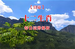 郑博士：10月15日生肖运势、今明吉凶播报(一对一算命一条街)  