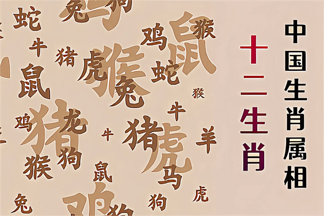 未命名图片 (71).jpg