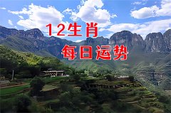 2025年10月21日需要注意的属相有哪些？真人在线算命准的网站