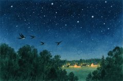 双子座明日星座运势：2025年10月23日（真人算命蕞准一条街）