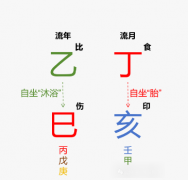 2025年11月·丁亥月运势（乙木篇）乾坤网算命一条街