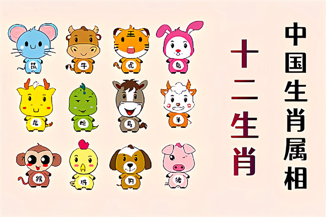 未命名图片 (14).jpg