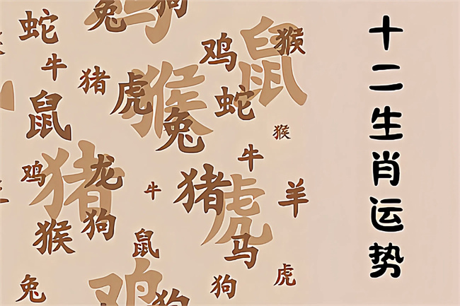 未命名图片 (72).jpg